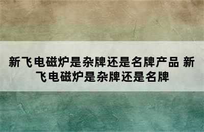 新飞电磁炉是杂牌还是名牌产品 新飞电磁炉是杂牌还是名牌